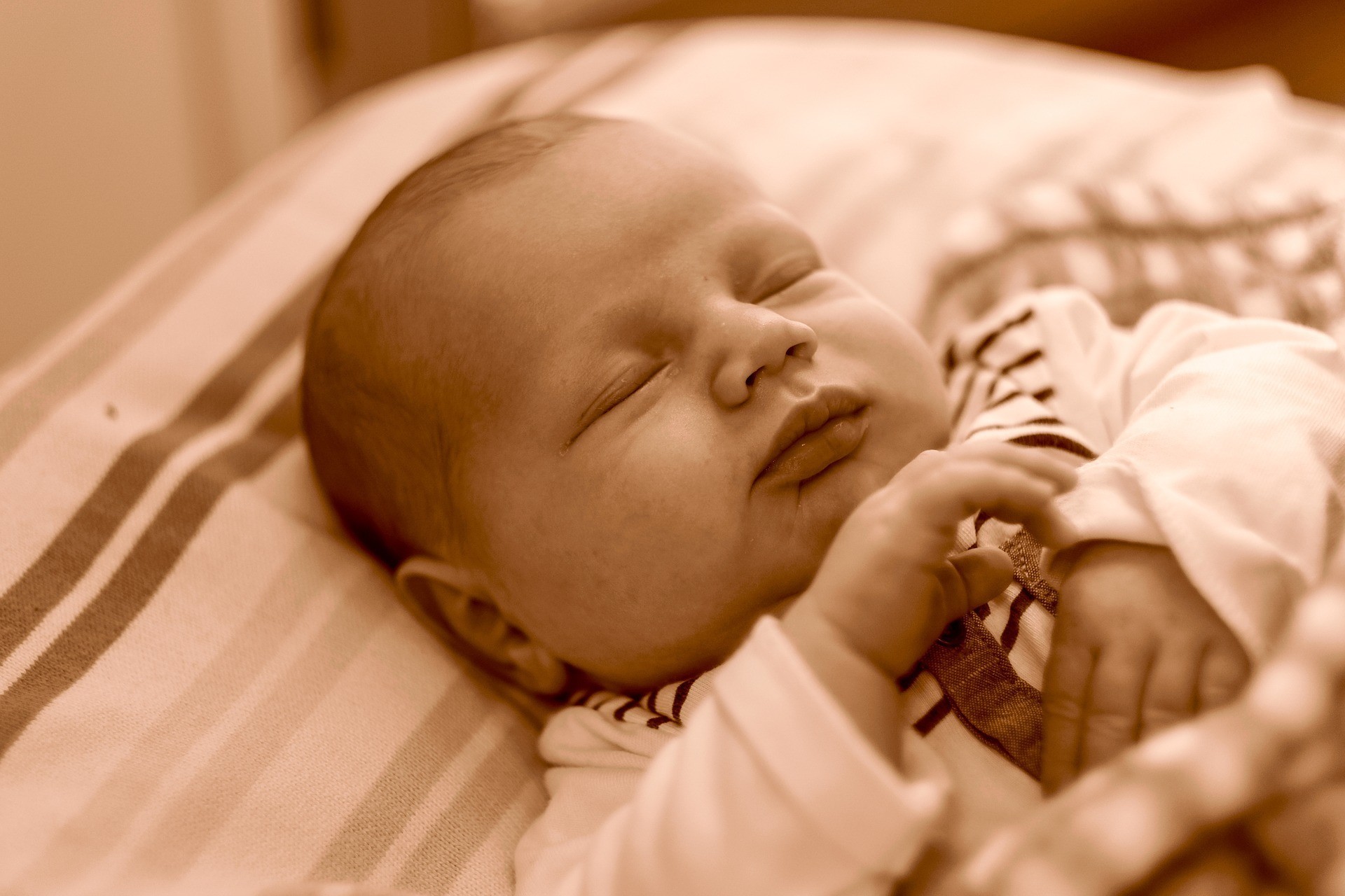 Infant